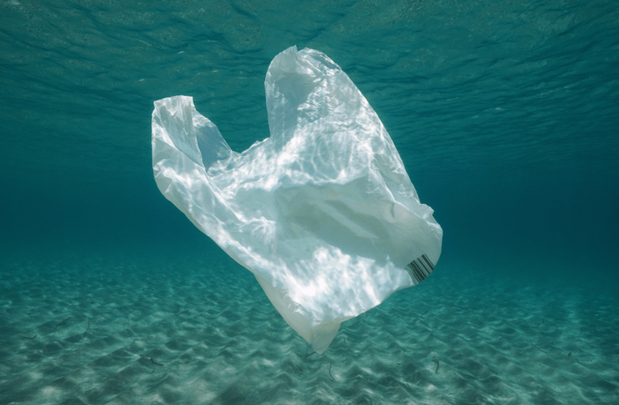 ¿Y qué hacemos con las bolsas plásticas?