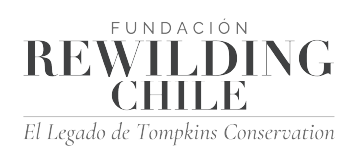 Centro UC Francisca Bohle