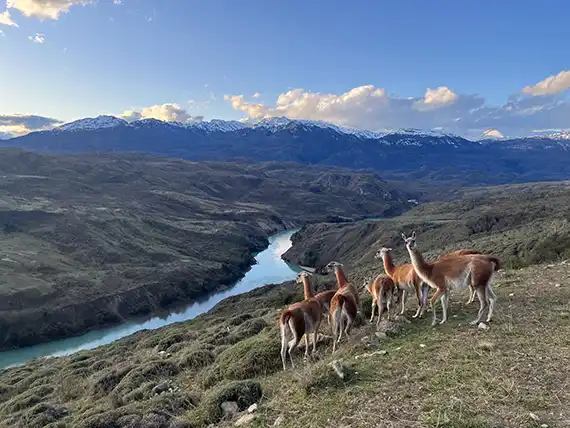 PARQUES NACIONALES: CONSERVACIÓN, CONECTIVIDAD Y DESARROLLO LOCAL