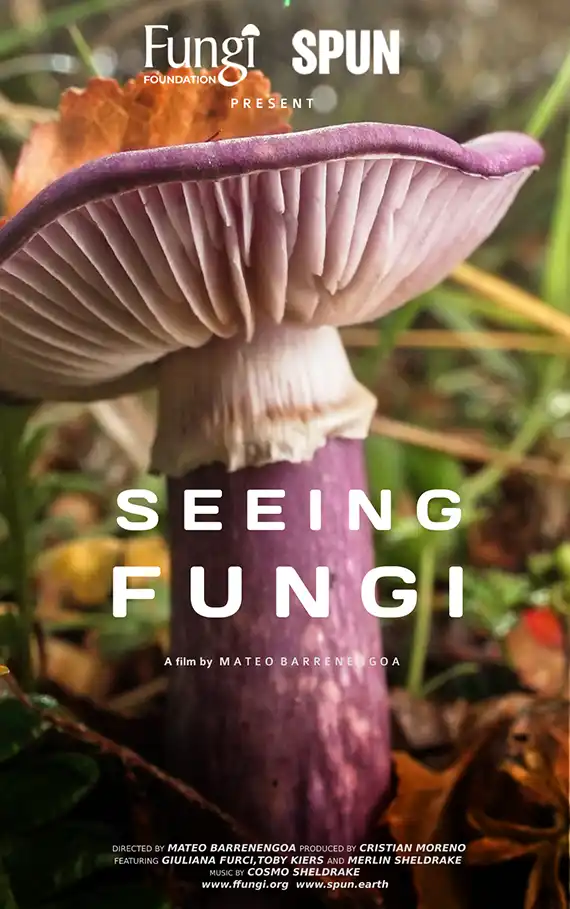 COOPERACIONES SILENCIOSAS: REDES QUE SOSTIENEN LA VIDA