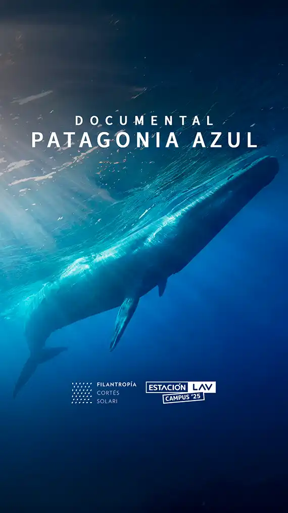 PATAGONIA AZUL, LA INTERCONEXIÓN DE LA VIDA