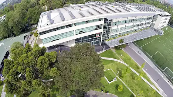 HACIA LA CARBONO NEUTRALIDAD 2038