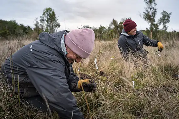 RESTAURACIÓN Y BIODIVERSIDAD