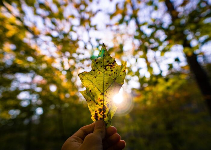 Un día que debe durar todo el año - Latinoamérica Verde TV