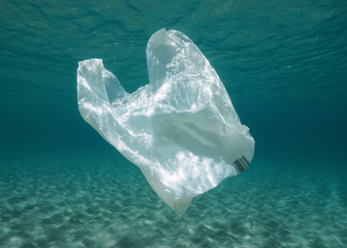 ¿Y qué hacemos con las bolsas plásticas? - Latinoamérica Verde TV